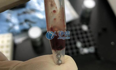 高通量組織研磨儀對肝臟樣品前處理的實驗研磨操作